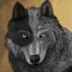 wolf 2