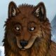 wolf 4