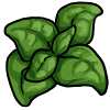 Potion Ingredient. Injuries seem to magically heal. game item