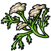 Potion Ingredient. Injuries seem to magically heal. item picture