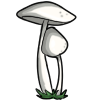 A lovely mushroom of the edible type and not the currency type. <br><br>You can eat it while exploring for a modest hunger decrease.<br><br>Or, you can use it as an ingredient for a larger meal. game item