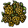 Increased chance (Highest) that pups have a rarer pelt. Read about it in Barter. game item