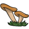 In October, the Witch will be looking for this, in Explore. game item