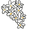 Your wolf cant get enough lovin. This wonderful flower resets their Breeding Count to zero for this yearly cycle. game item