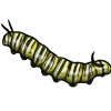 Gather together some Caterpillars to make a Brown Chrysalis. <br><br>Or, eat as a snack in Explore. item picture