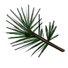This seems to be part of a collection that can be assembled into something. It is found in Explore during December.<br> game item