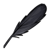 Use this to decrease the chance that your old wolf passes away during the weekly death script. This is dropped by Gwyn ap Nudd in October. item picture
